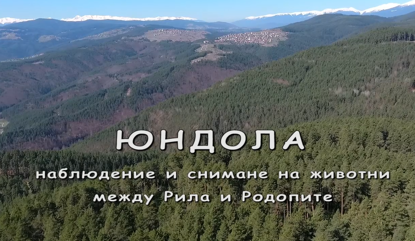 Video 1