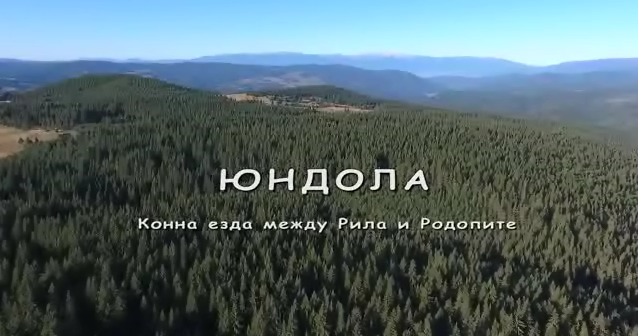 Video 3