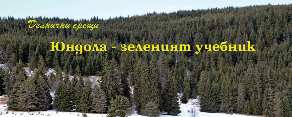 Gora 02